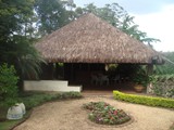 coberturas (1)